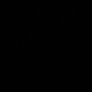 Meet your Posher, Nicholas